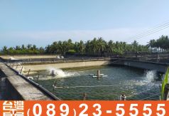 農舍176_乾淨太平洋蝦池使用10000平方呎 (養殖地、合法養殖證)