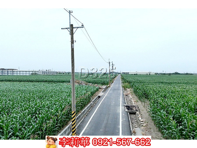 鹽水525坪便宜農保地