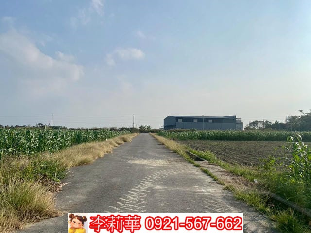 七股優質423坪一般農地