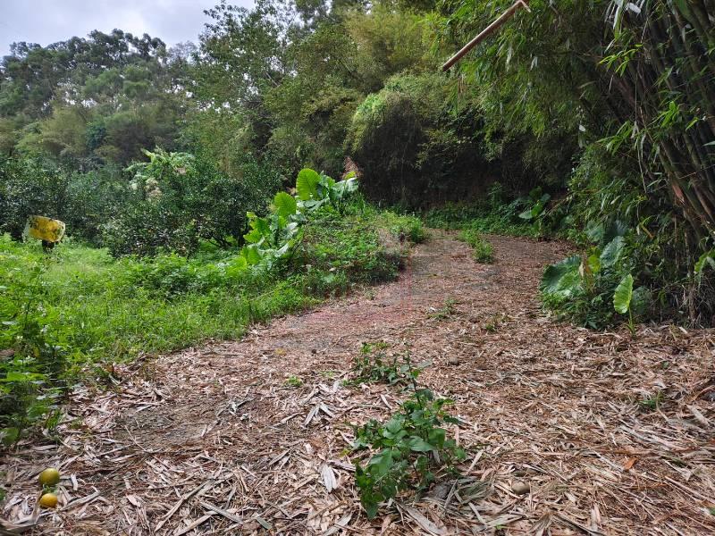 新竹縣芎林鄉中坑大坪數農林地 春明地產