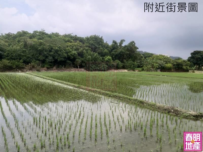 新竹縣竹北市台知園區農地(持分) 春明地產