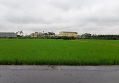 竹南鎮乙種工業地