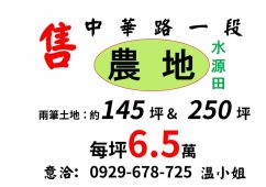 【急售】新竹市千甲種菜美田 (出價好談,低於實價登錄)