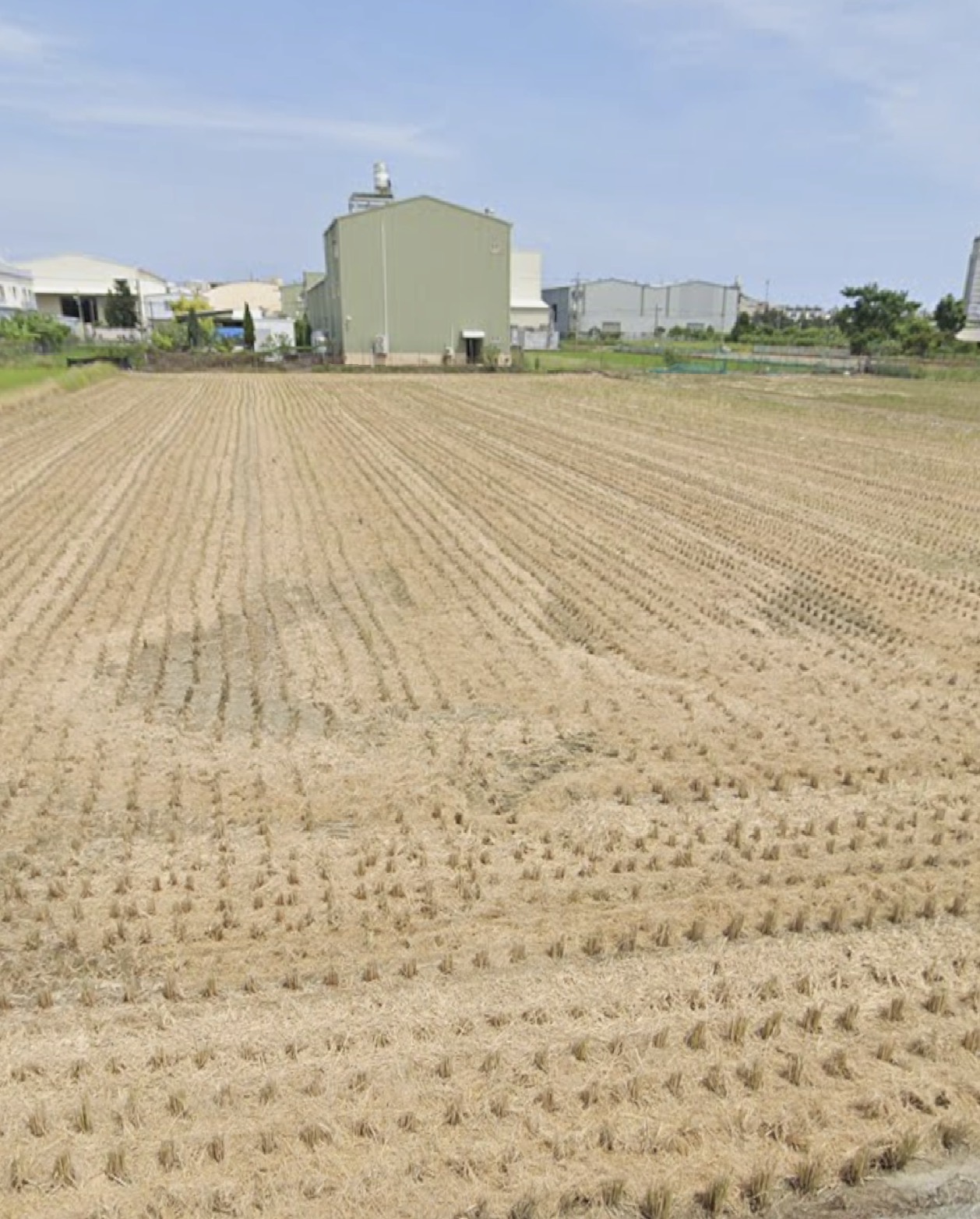 林園72坪8米路14米大面寬農地（陳美鳳）