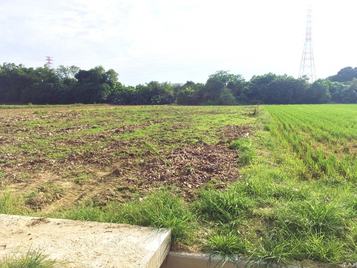 淑貞永康工業區芳鄰農地