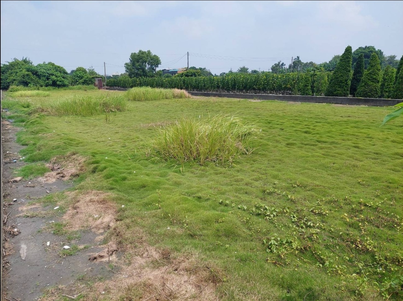 田尾順圳巷田地1.958分-我是承辦-陳晉添0921-373737