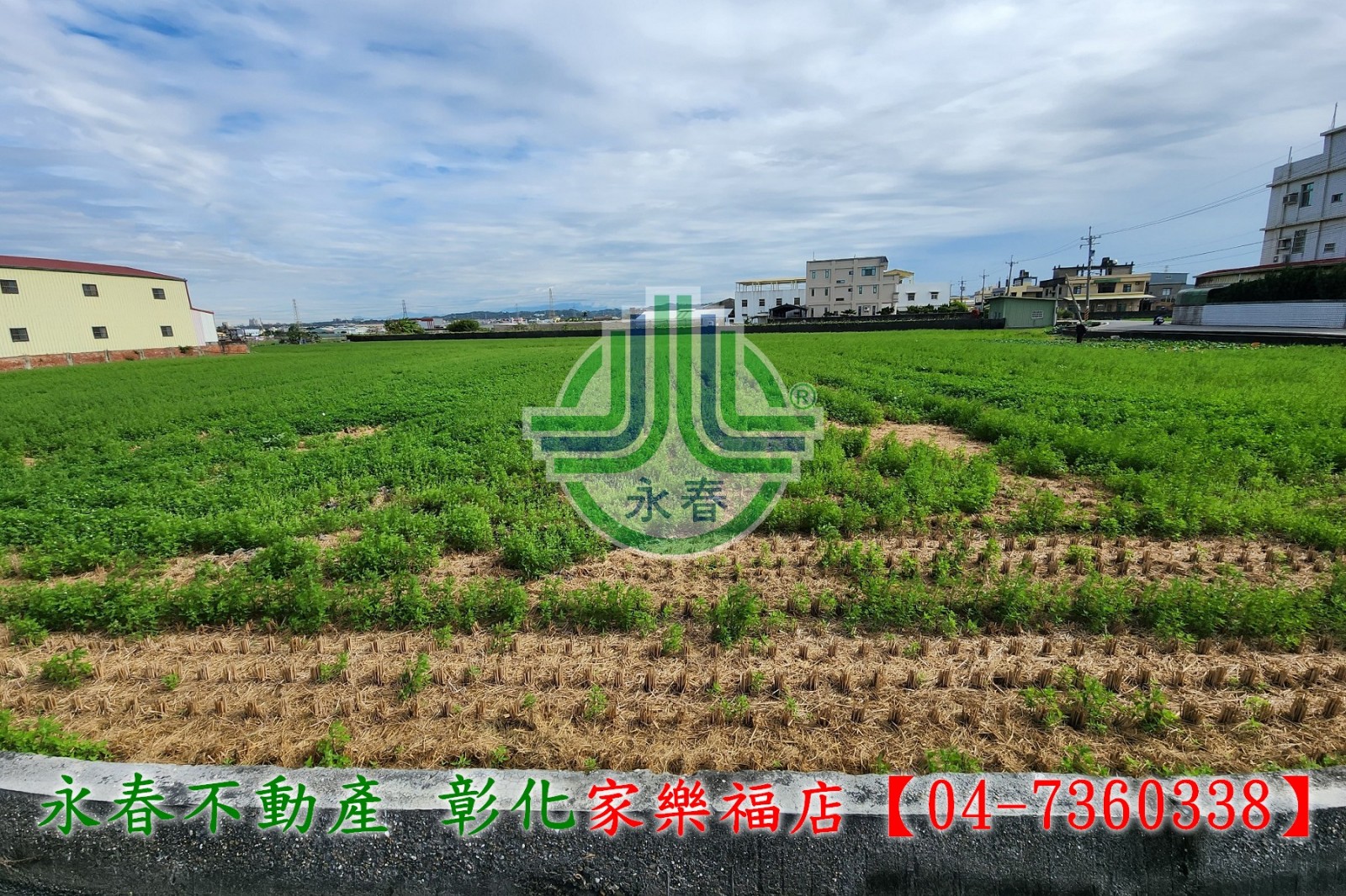 【彰化永春】花壇彰花路大面寬田★專營彰化土地田地