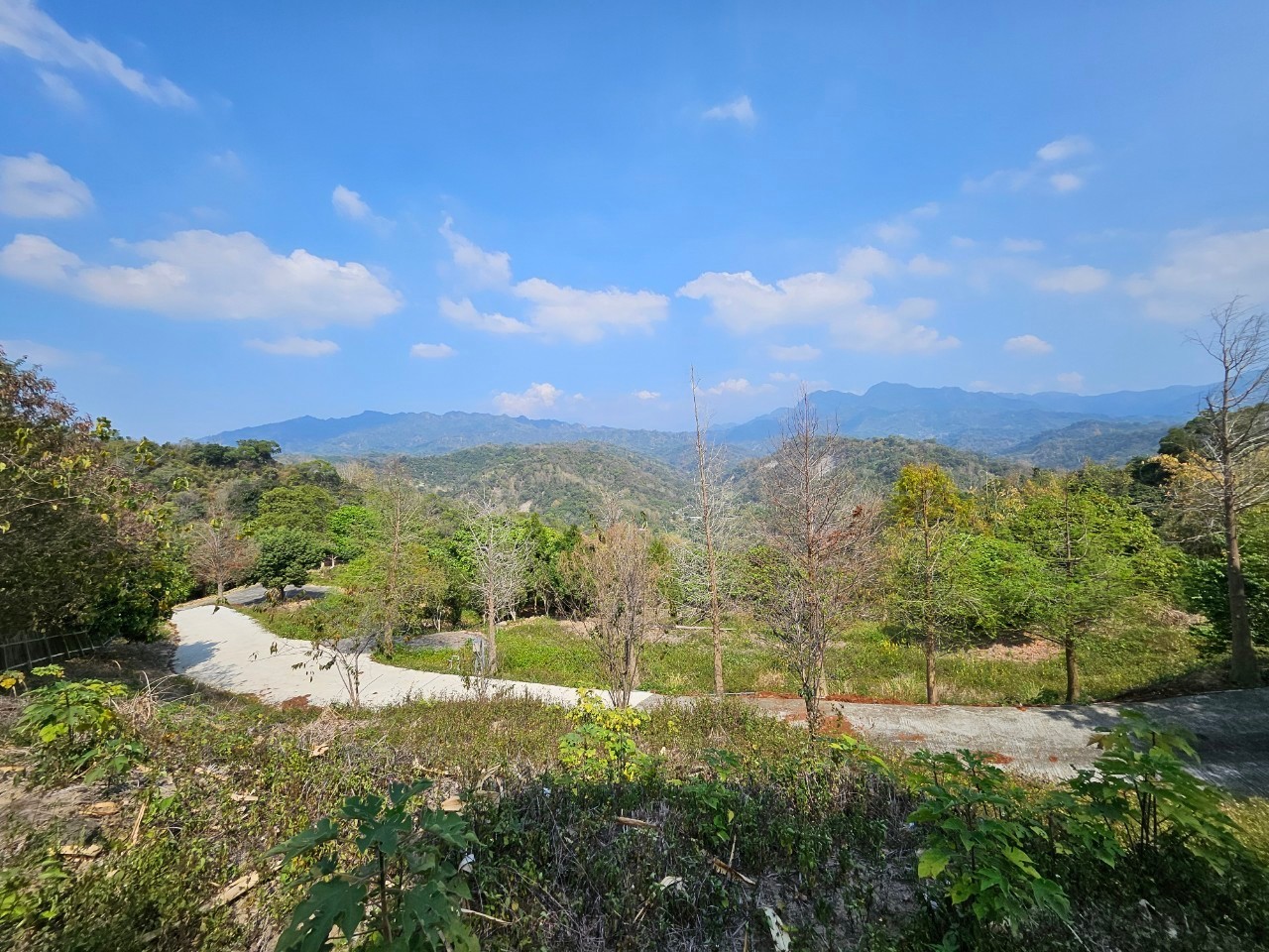 台中買屋賣房 土地王劉志忠 太平近華盛頓景觀農地H