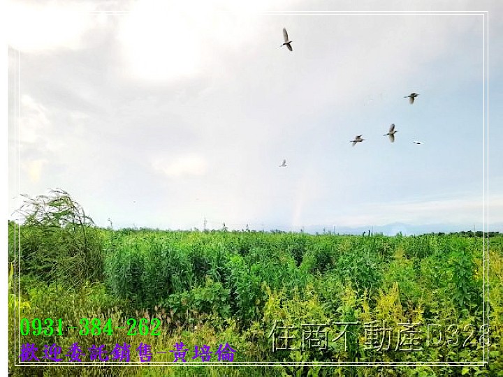佳里興超值農地A台南培倫房屋土地王H。蝸牛居0931384262