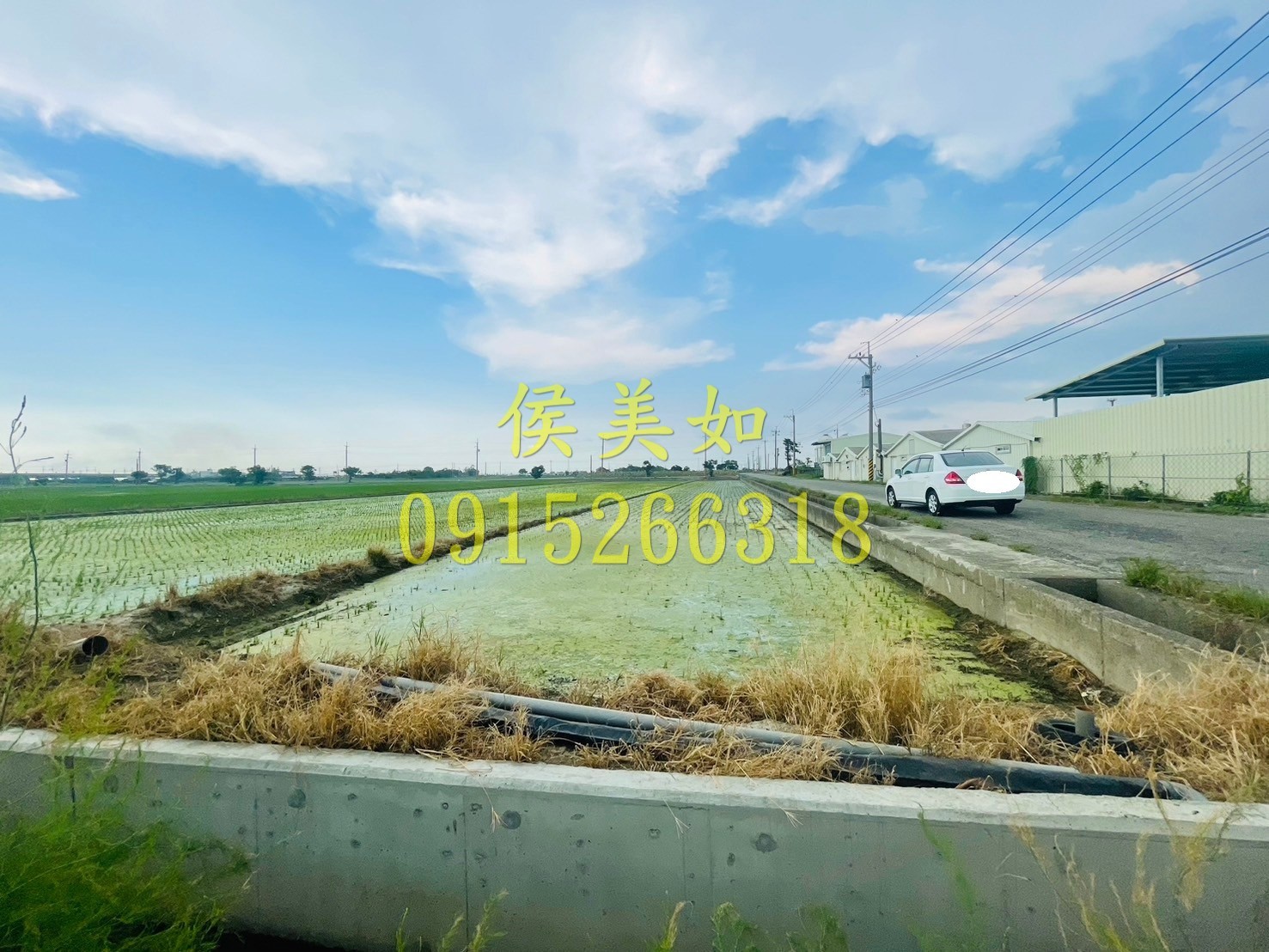 新港大面寬雙面路農地-台慶侯美如