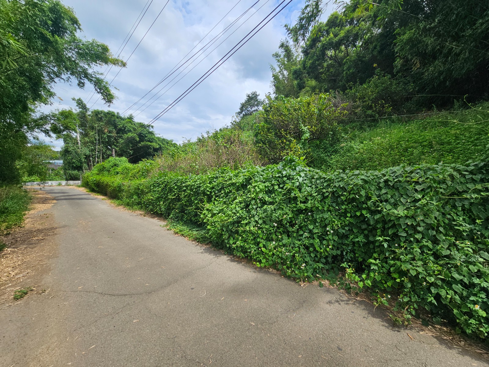 后里馬場旁農地