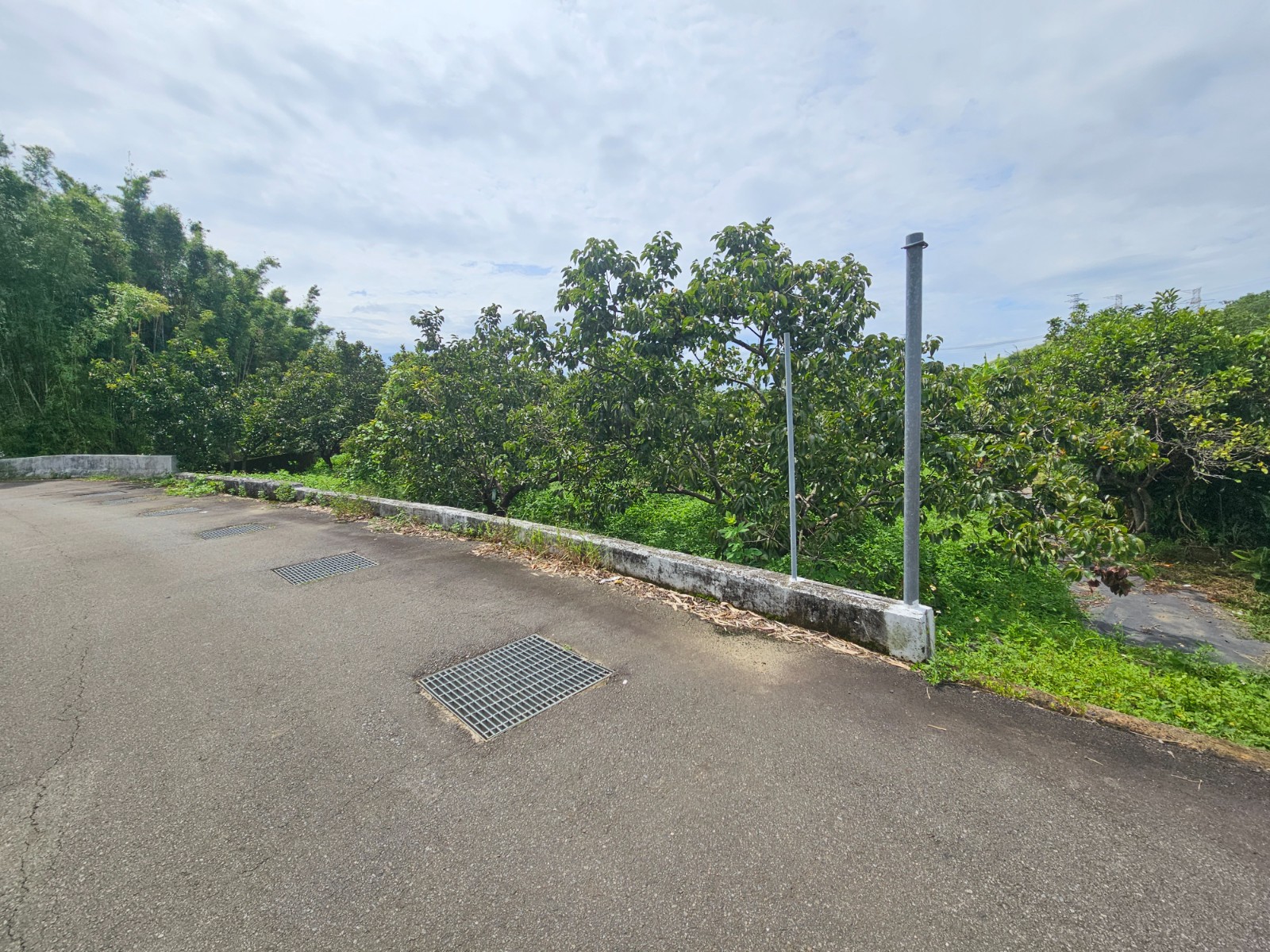 后里圳寮路(角)農地