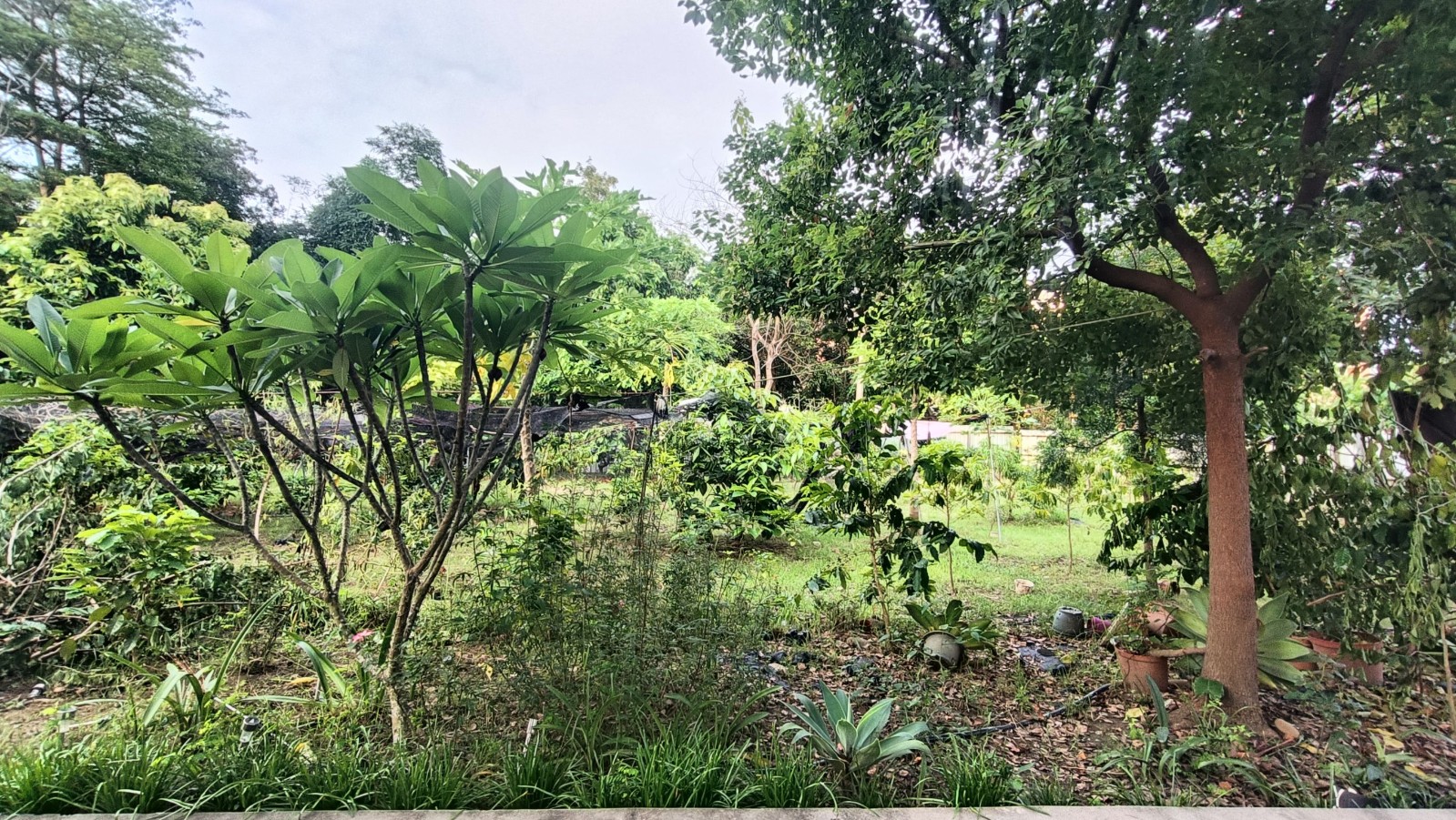 嘉義市都市計畫農地(B)