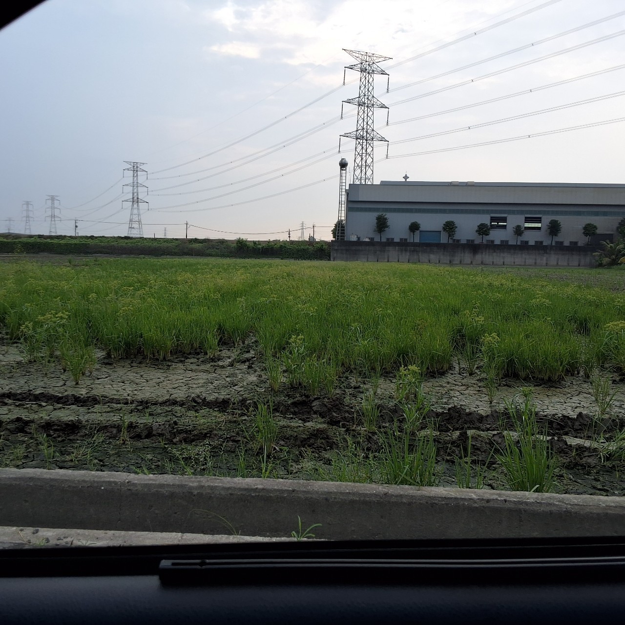 路竹增值方正美農地(已套繪)
