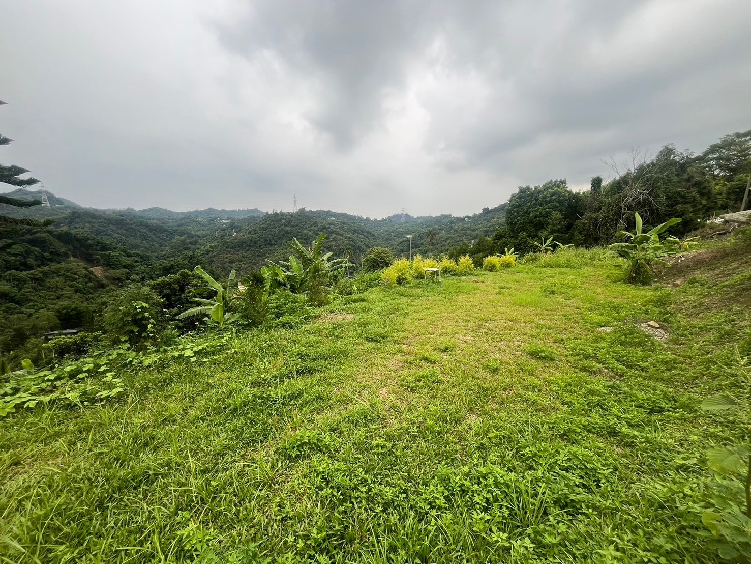 霧峰近桐林國小公車景觀地