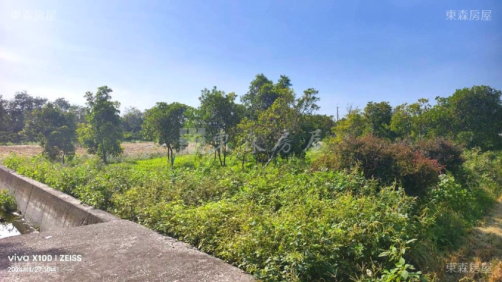 埔心仁華雙面路持分農地