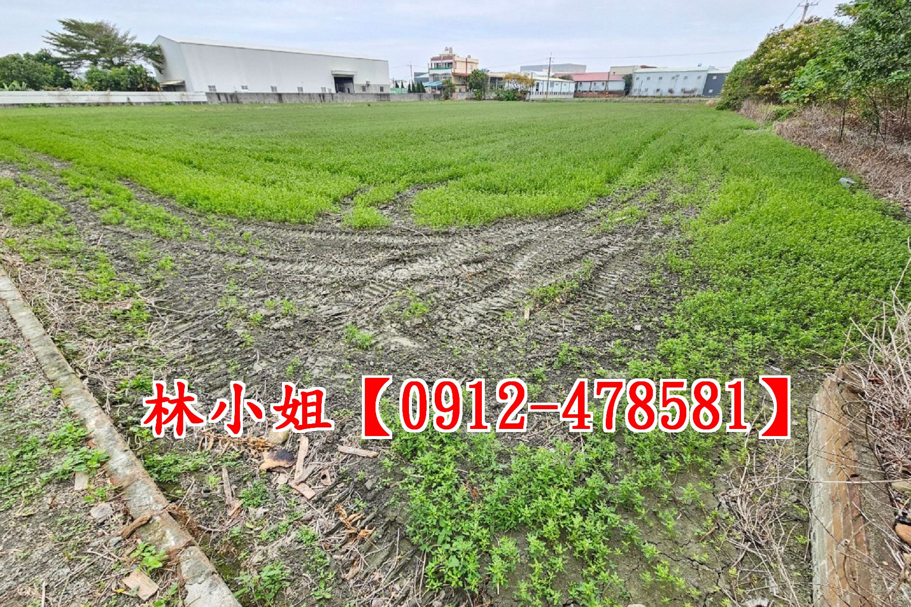 彰化市莿桐美田~洽林小姐0912-478581