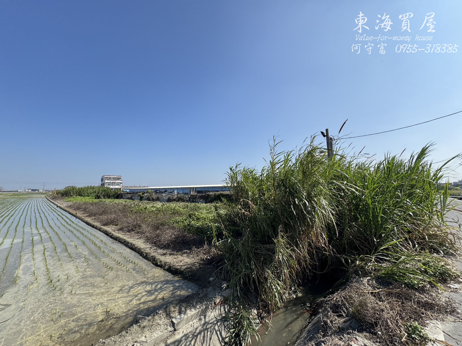 雲林元長-元長鄉349坪肥沃好地，每坪僅0.5萬，總價175萬，投資農業好選擇！