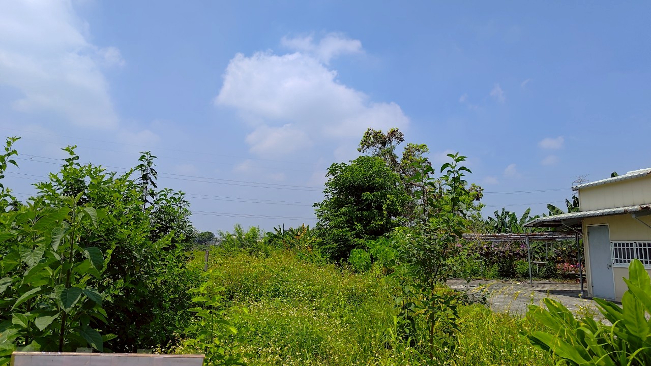 關稅危機入市挑好地~大寮農地