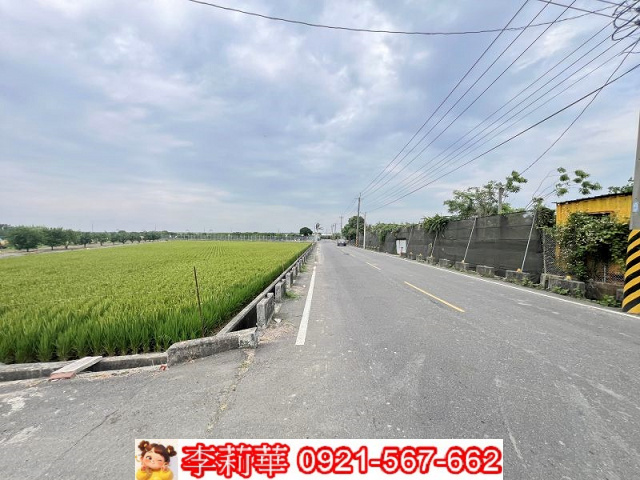 麻豆優良3分柚子園美農地
