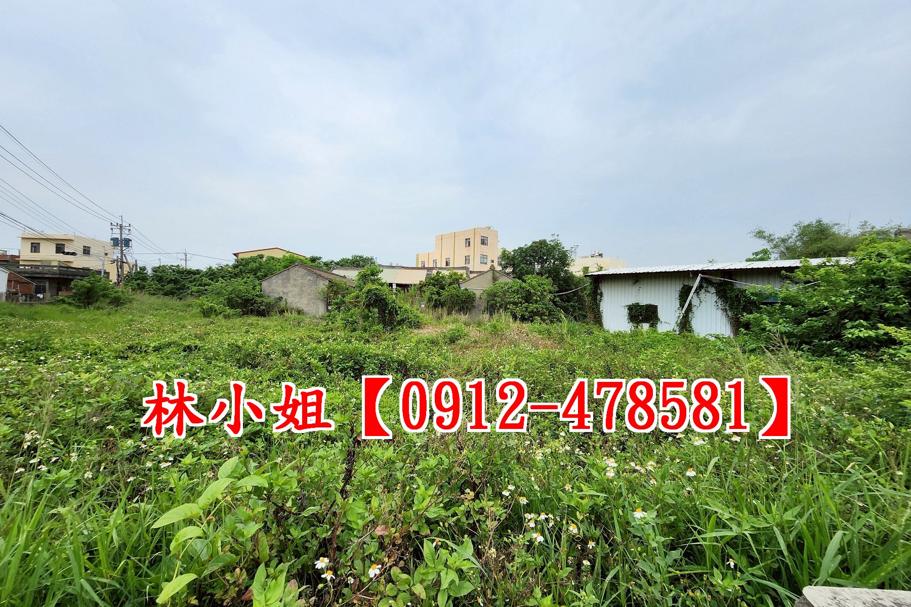線西近曉陽國小田+建地~洽林小姐0912-478581