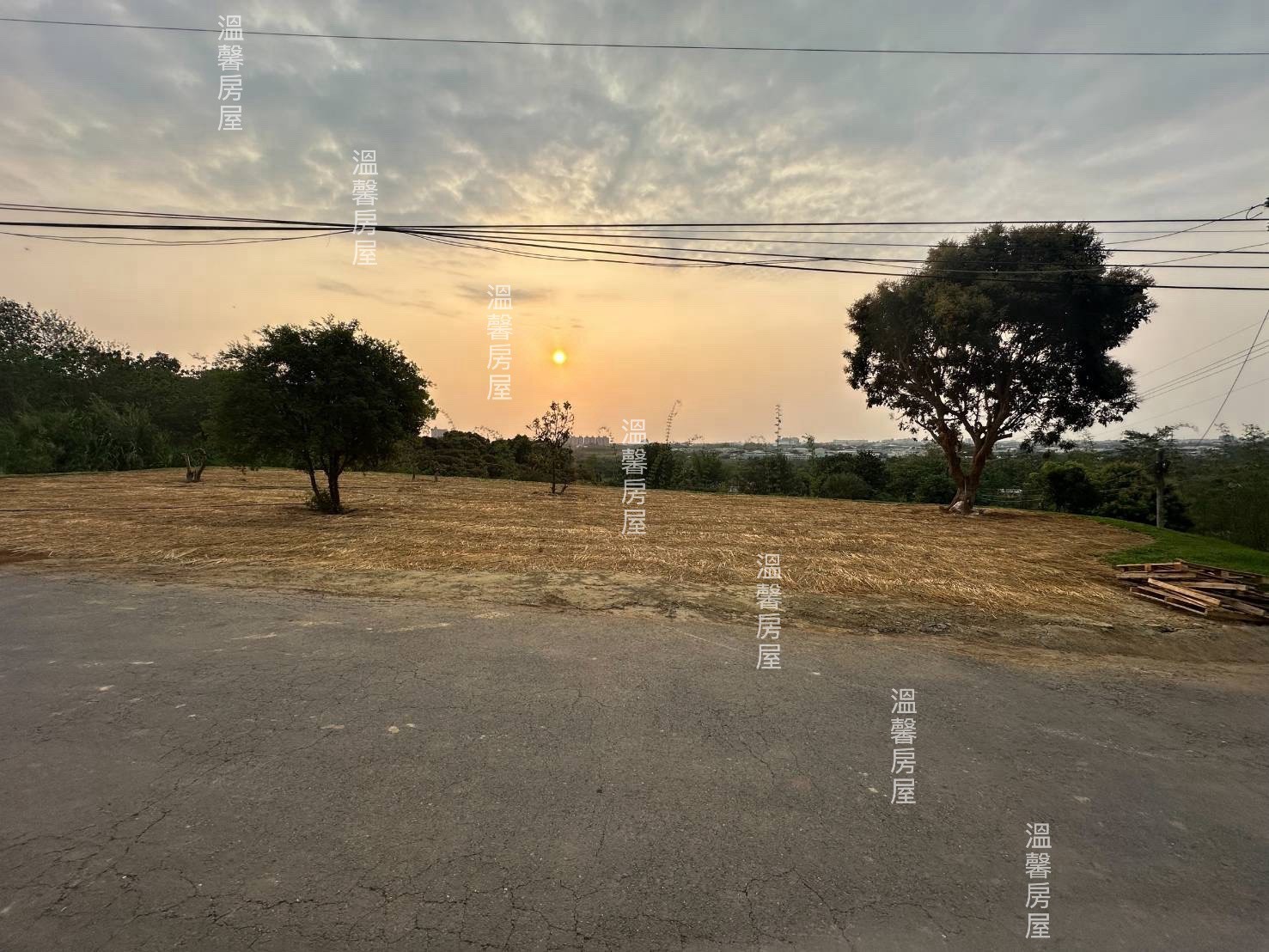 東義路旁都計農地