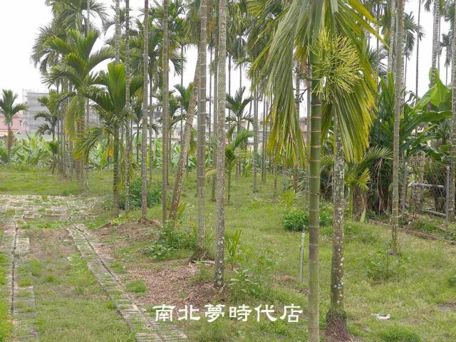 屏東萬巒佳和村農地