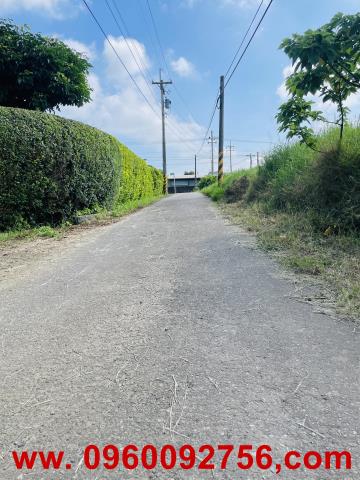 湖口近市區特農平田