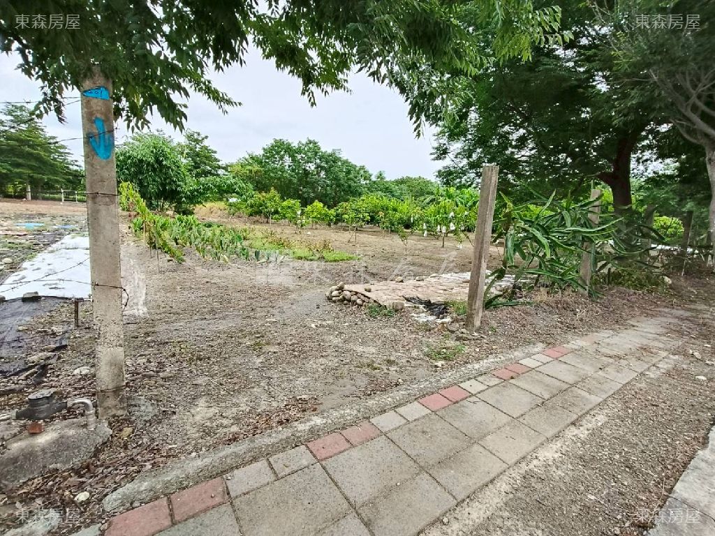 田中高鐵產專一建地