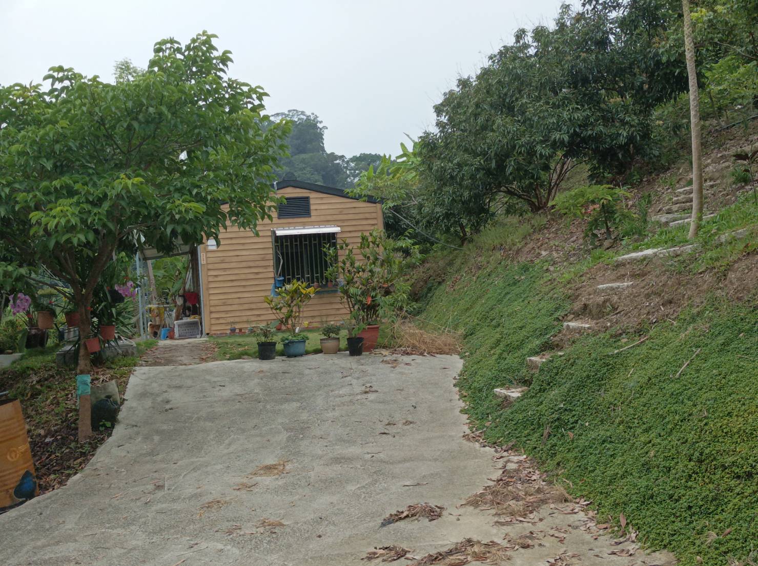 霧峰近朝陽大學景觀合法厝