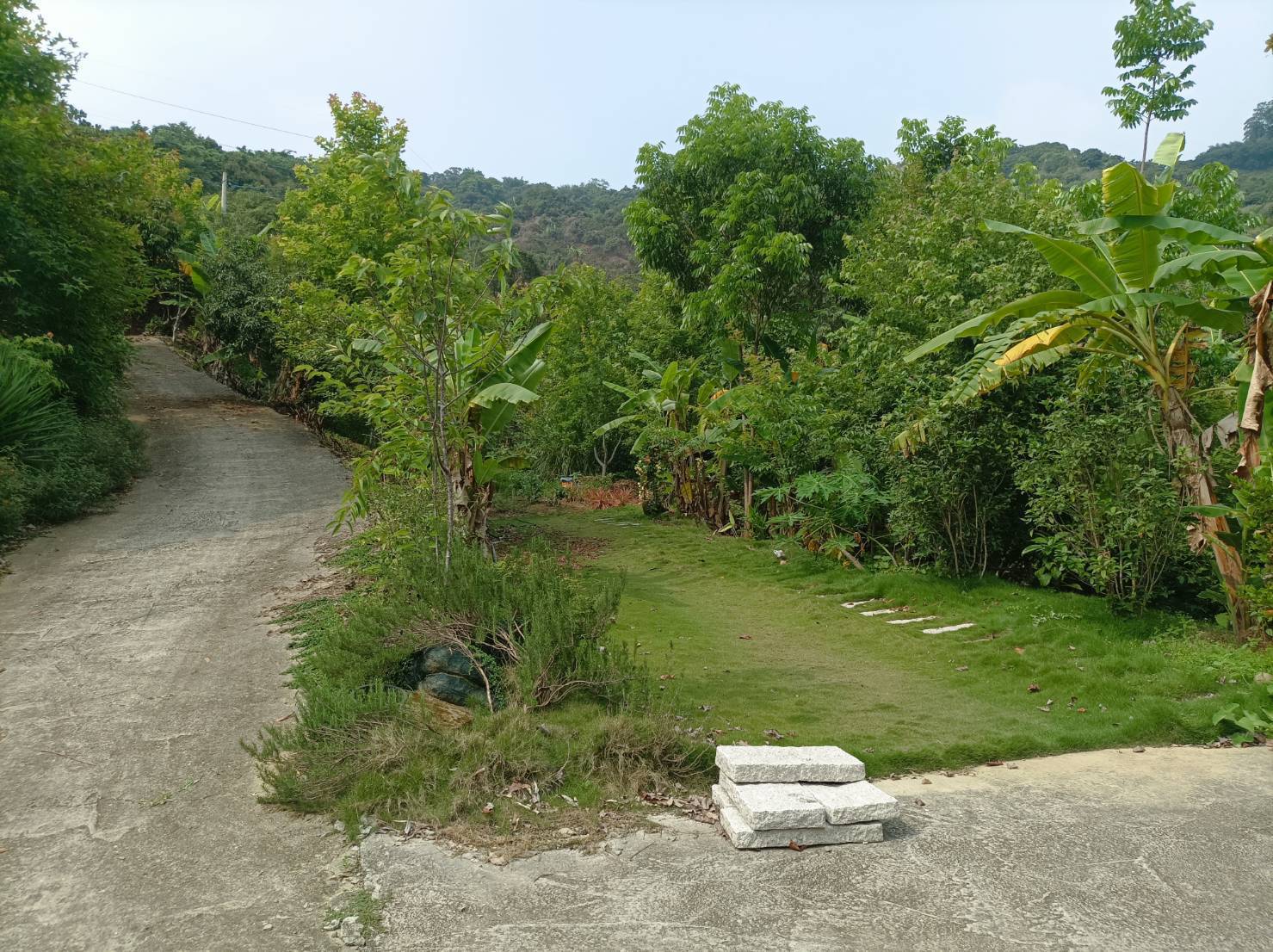 霧峰近桐林國小景觀合法厝