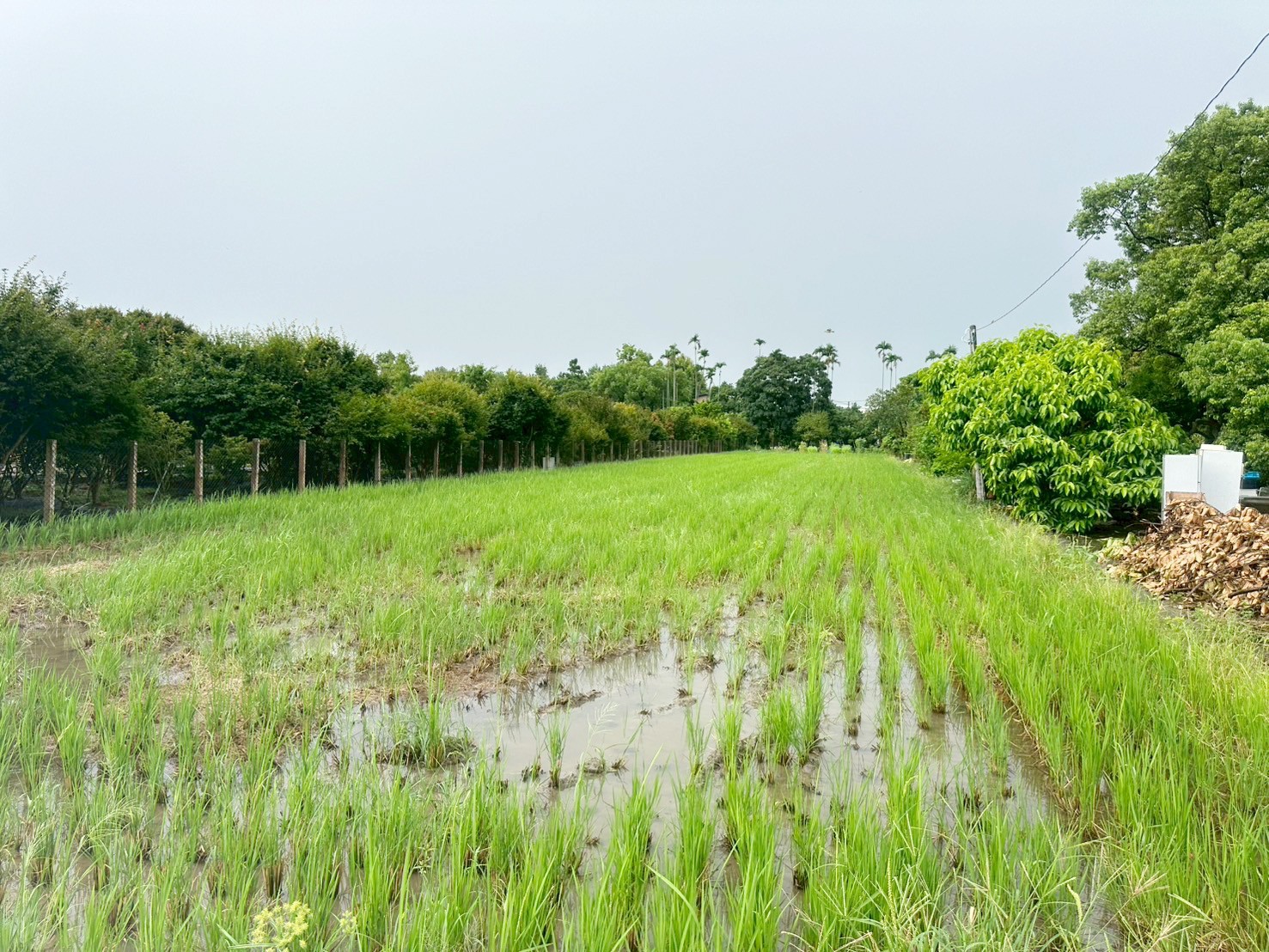 國四神岡交流道美田