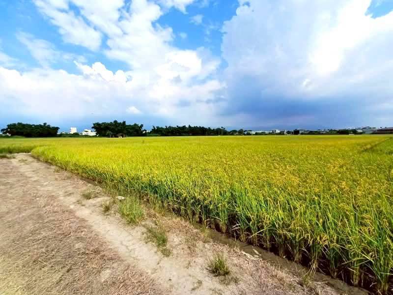 嘉義市嘉北區段徵收農地