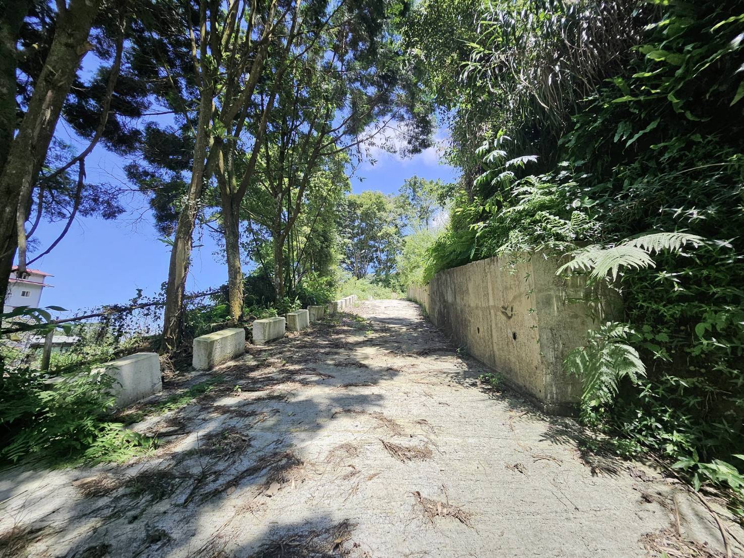 『近溪頭建地』鹿谷都計內近溪頭聽濤園內樹皮段建地