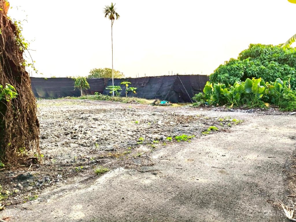 永靖四芳公園旁甲建