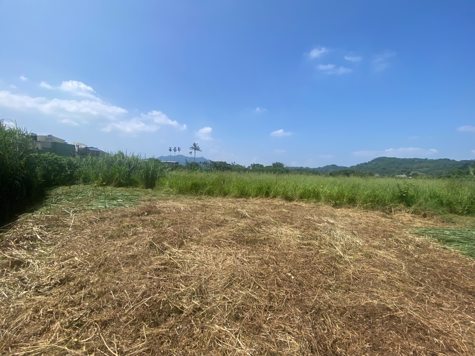 集集都計內八張農建地