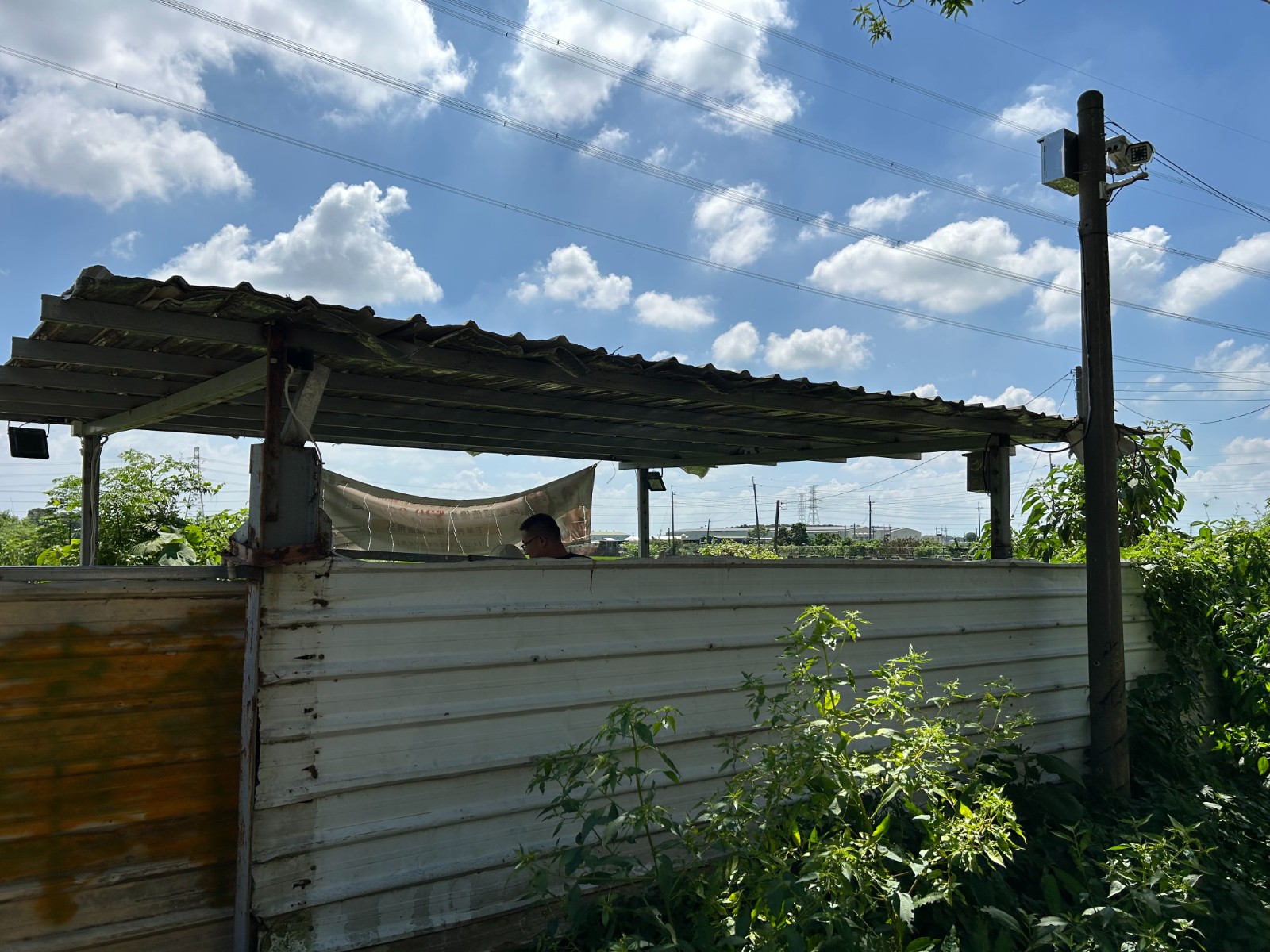 嘉義溪口三疊溪12米路農地