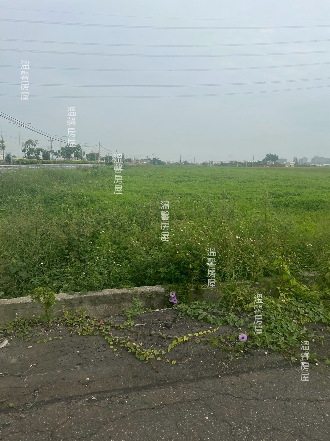 民雄台一線旁大面寬農地