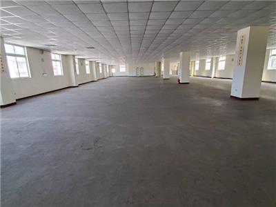 平鎮66氣派RC廠房