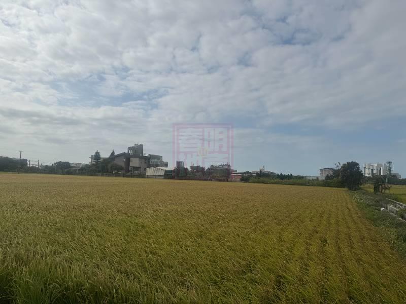 新竹縣竹北市白地粉雙面臨路農地 春明地產