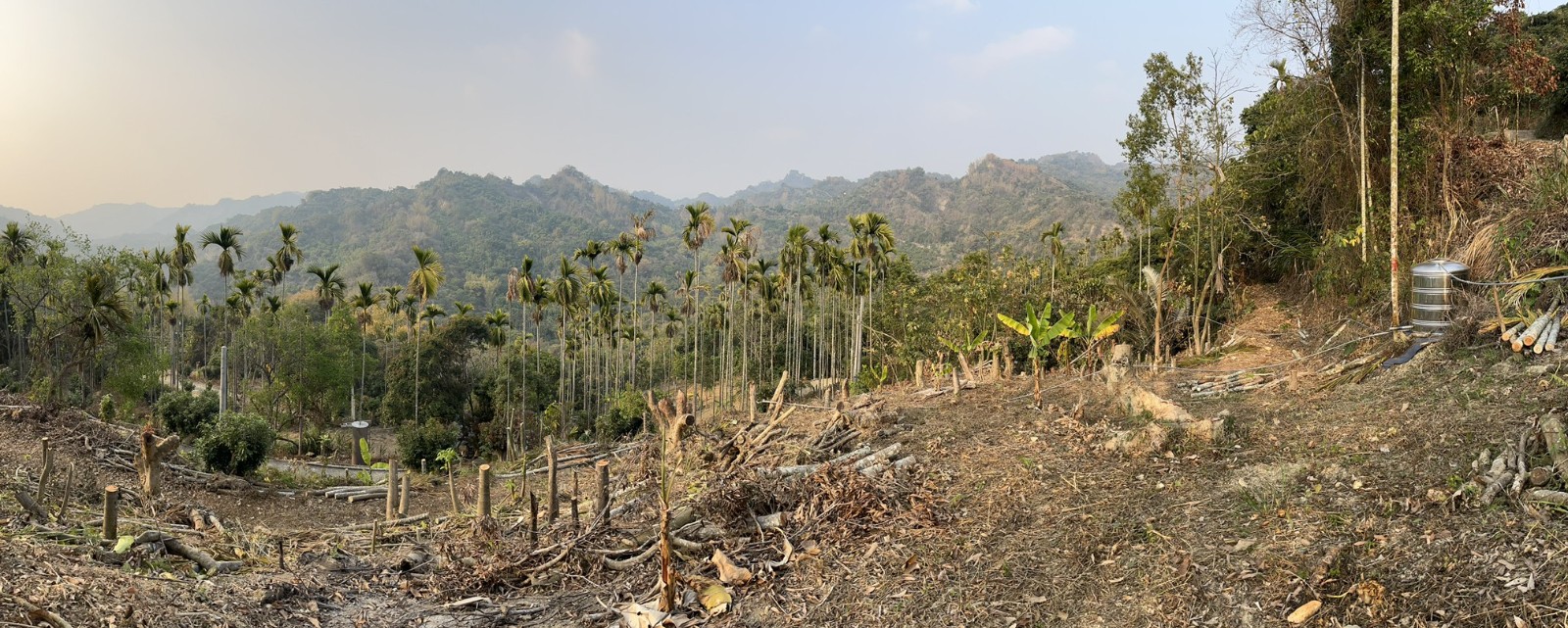 太平近學校公車站平緩農地