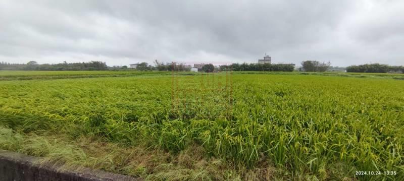 新竹縣新豐鄉崁頭優質農地 春明地產