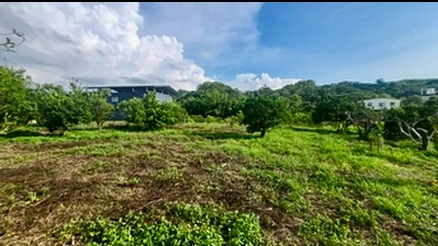 頭份流東里平坦橘子園
