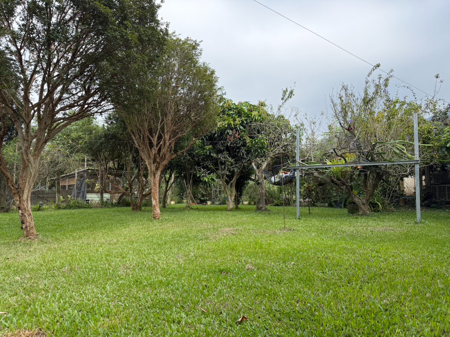 💖專任💖魚池雙面臨路大地坪建地~近日月潭/九族