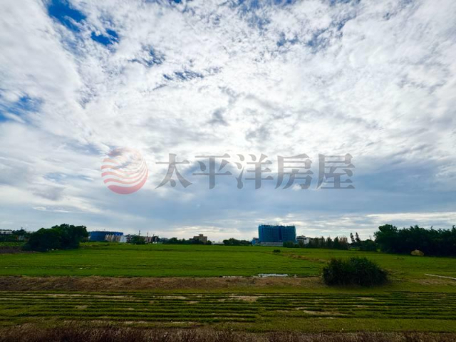 楊梅區員笨段美農地/置產首選