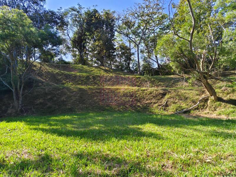 苗栗縣南庄鄉四灣分割四筆景觀地 春明地產