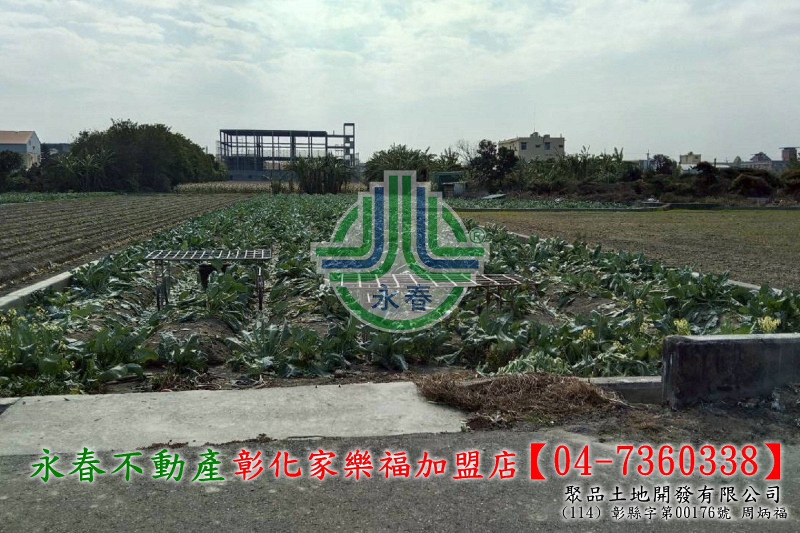 【彰化永春】埔鹽清水國小菜園