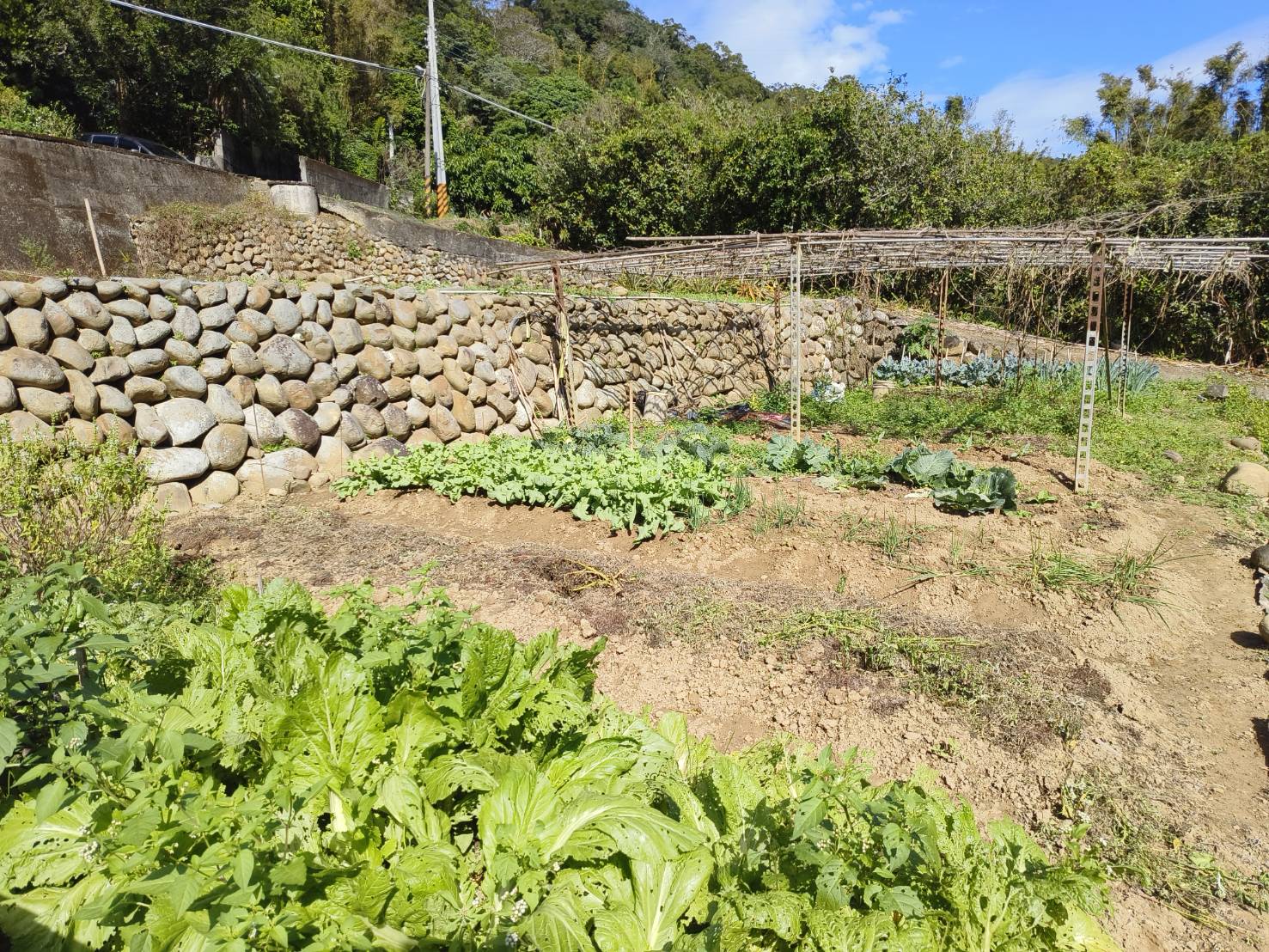 關西梯形臨溪農地