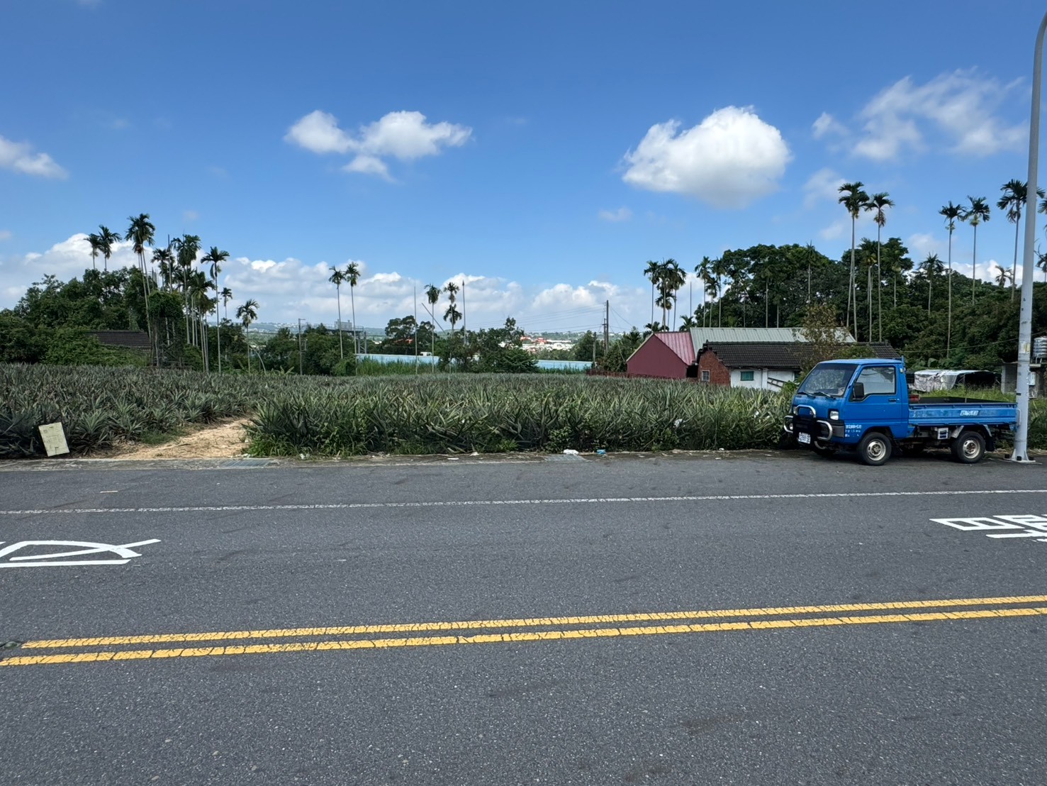 ❤️名間萬丹大面寬美農地