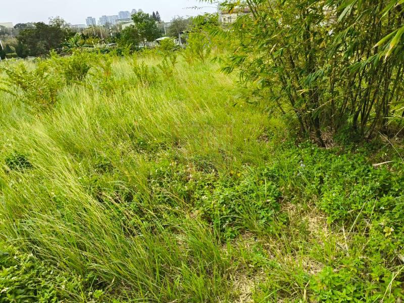 新竹縣竹東鎮下員段都計田 春明地產